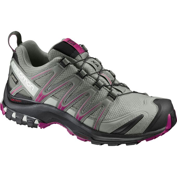 Chaussures De Trail Running Salomon Femme Argent - Salomon XA PRO 3D GTX® W - France (1648-JLCIR)